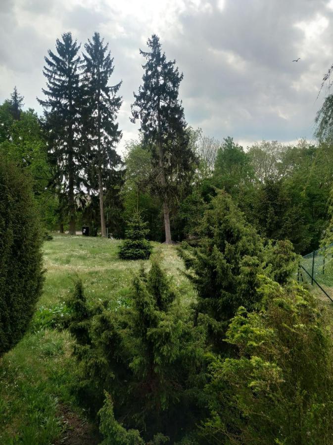 Apartament Na Gorce Lagow  Luaran gambar